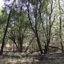 Sandgrube 2
