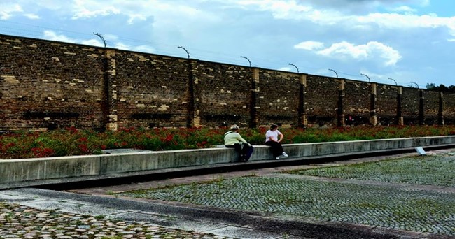 Fot. 11