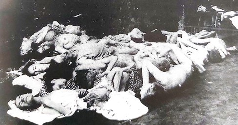 Fot. 19