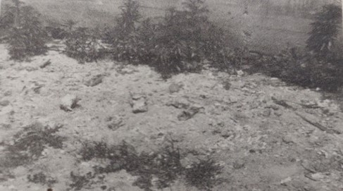 Fot. 20