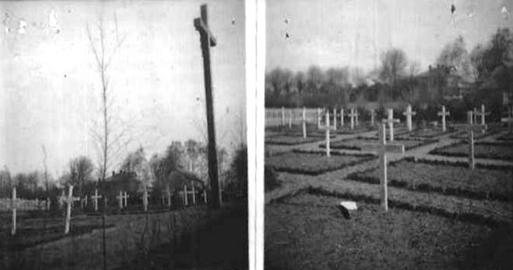 Fot. 5