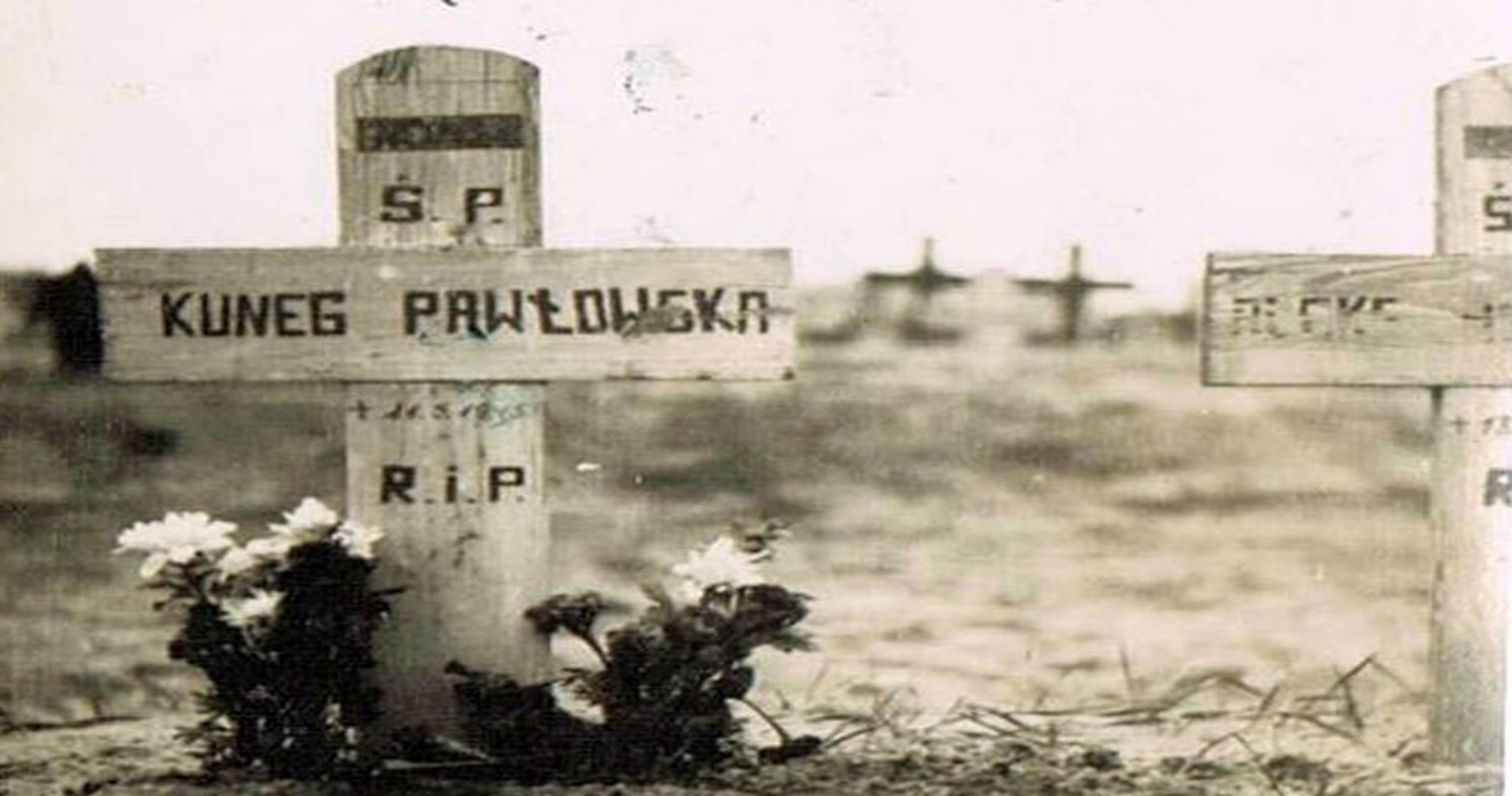 Fot. 6