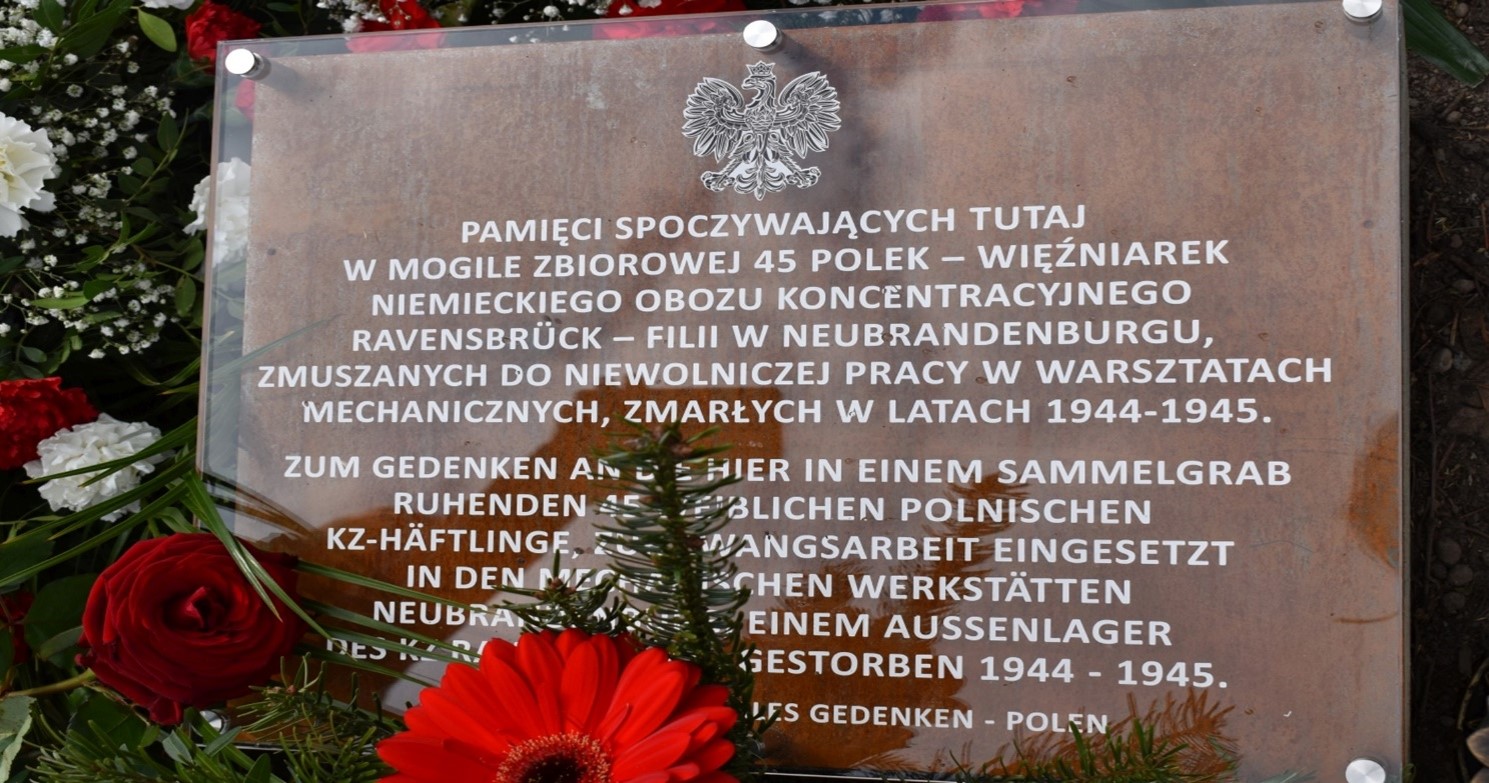 Fot. 8