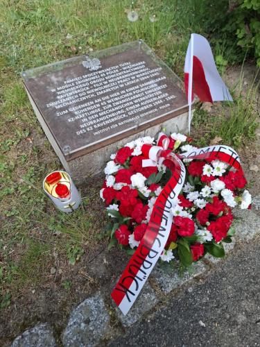 Neubrandenburg tablica polska
