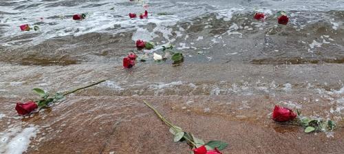 Ravensbruck róże rzucone w toń jeziora Schwedt