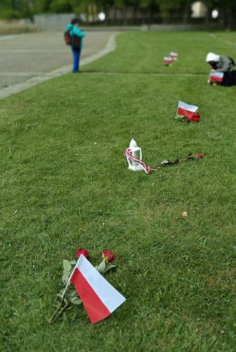 Ravensbruck róże znicze i polskie flagi na miejscu prochów więźniarek