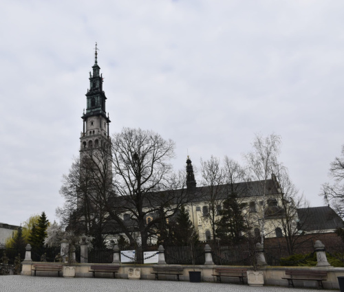 WhatsApp Image 2026-04-12 at 11.13.50